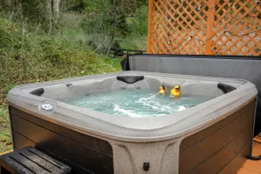 Creekside Cabin w Hot Tub, Fire Pit, Deck & Grill! - Image 3