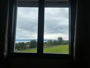 View of Lausaunne, small, quiet apartment! - Image 4