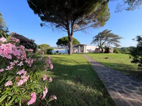 Villa Ginestra with private beach - Image 4