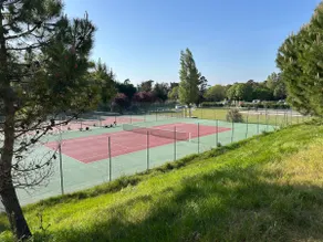 Cape Green 2 - Image 4