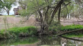 Little House on the Prairie Dog - Image 3