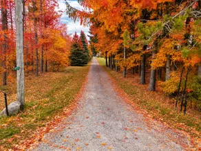 Cottage | Private Pond | 10 Acres | Sleeps 8 + - Image 4
