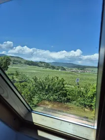 L'Orée du Vignoble le Nid Alsace Wine Route - Image 4