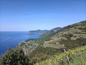 Casa Oleaster Cinque Terre - Image 2