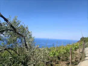 Casa Oleaster Cinque Terre - Image 4