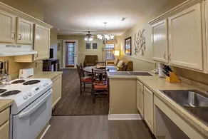 Resort Condo - Lake, Pool, Sauna, Golf & More! #32 - Image 4