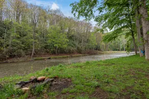 North Fork on the New River: O’Neill’s Drift - Image 3