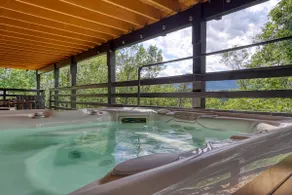 Luxury Retreat: Hot Tub, Views, Sauna, Games, EV - Image 5