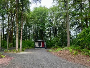 Fern and Fir Forest Retreat - Image 3