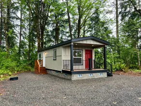 Fern and Fir Forest Retreat - Image 4