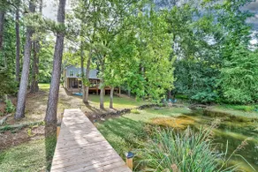 Canine Cove - Image 3