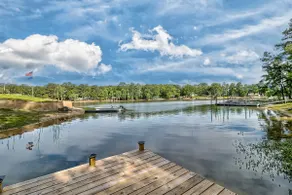 Canine Cove - Image 2
