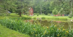 Luxury Log Cabin Retreat | Foliage, Hunting - Image 5