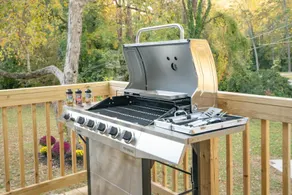 Abundance! Firepit | Pool | Hot Tub |Arcade| Grill - Image 3