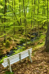 Hilltop Hideaway |Private, 3BR Home | 10 Acres - Image 3