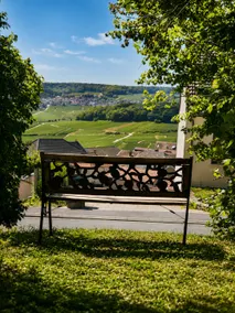 Panoramic Cottage in Champagne - Image 2
