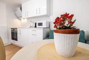 Maca's Casita - Image 4