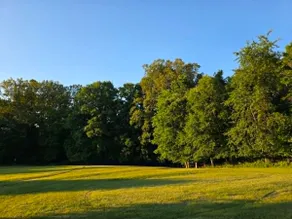 Peaceful Home Near The Blue Ridge Mountains - Image 4