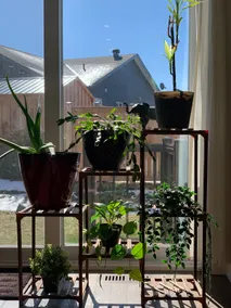 Gorgeous Entire Home in Carleton Place, Canada - Image 3