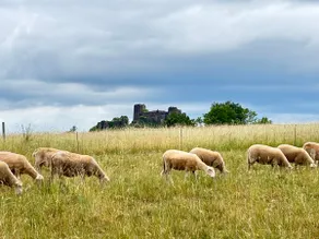 Le Chalet du Vernet - Vue château et nature - Image 2