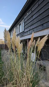 De Oost Logies 4. Peace and quiet in the heart of the Randstad - Image 2