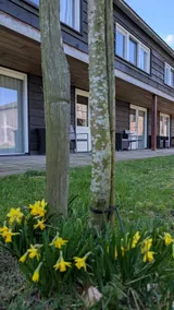 De Oost Logies 4. Peace and quiet in the heart of the Randstad - Image 4