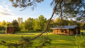 Escape to Nature – Modern Meadow House - Image 4