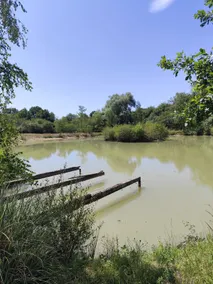 ”Le Rameau” Cottage with spa and private ponds - Image 2