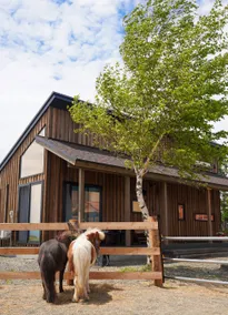 [New] Entire newly built lodge for rent with views of the mountains and miniature horses | HORSE STAY LODGE - Image 3