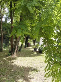 For its nature lovers - Image 5