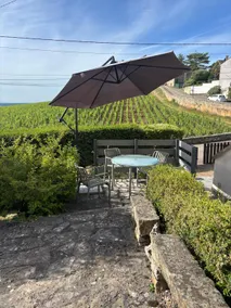House view of the vineyards • 2 bedrooms • Garden - Image 5