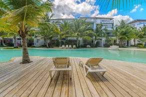 Estrella Dominicus Advantage - Image 5