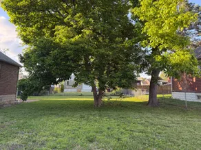 Historic STL Home near Wash U/Massive Backyard - Image 5