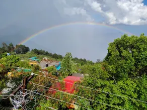 Mango Tree Inn - Image 3