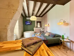 Visits to the Châteaux of the Loire Valley • A/C • Wi-Fi - Balneo - Image 3