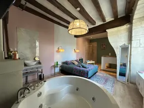 Visits to the Châteaux of the Loire Valley • A/C • Wi-Fi - Balneo - Image 2