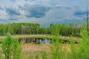 13-Acre Luxury Estate | Near Banff | Sleeps 10 + - Image 3