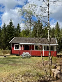 Newly renovated house by the tranquil Granaspsjön - Image 2