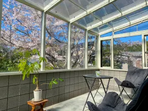 The joy of waking up to the morning sun and the sound of birds. Mornings at Sakura-An, where you can become one with nature. - Image 4