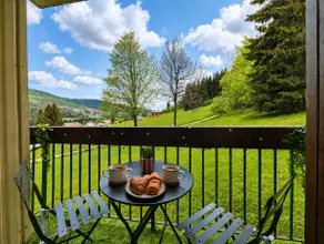 Lelex Monts-Jura to rent studio facing south and resort center - Image 4