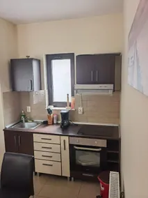 Apartament Alexandru Neptun Private Suites - Image 4