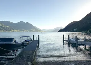 Lake Lucerne View, 3BR, Balcony, Rigi & Brunnen - Image 5