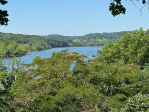 Table Rock Lakefront • Sleeps 15 • Near Branson - Image 3