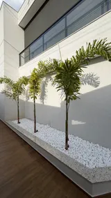 Flat Premium Igarapé AP03 - Image 5