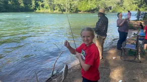 New “Redwood Falls Cabin”Riverfront Trout R. Lodge - Image 5