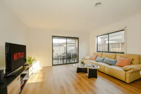 Seednest Stylish & Perfect for Relaxation - Image 3
