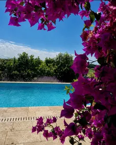 Paradise in Gascony - Image 5