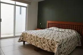 Spacious house among flavors, nature and tradition - Image 3