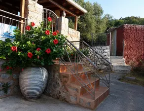 The Agnanti - Image 3