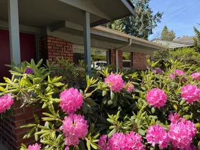 Spacious 3BR • Free Parking • Near UW & Downtown - Image 4